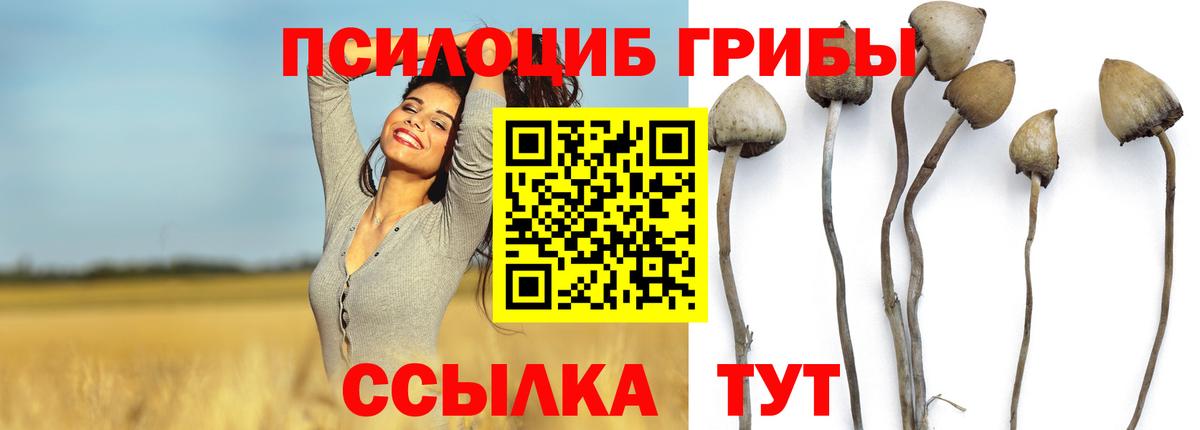 Псилоцибиновые грибы MAGIC MUSHROOMS Среднеуральск